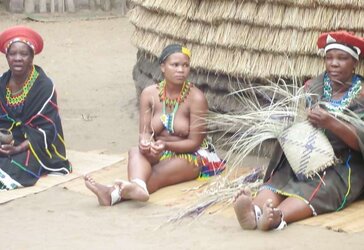 Tribal chicks