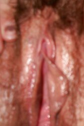 Pubic Hair with jizz indside me