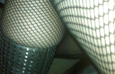 Daisy- caught something in the fishnet!