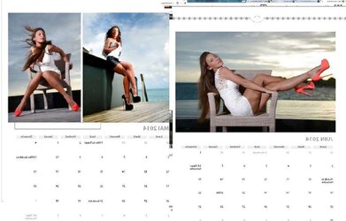 Bi-Atch sells calendar on ebay