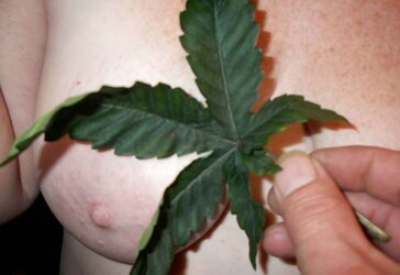 Tities and weed
