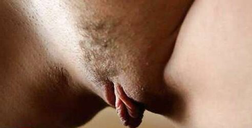 Gigantic Vulva Lips