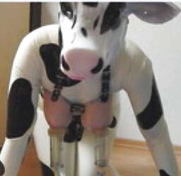 Milk,milk,milk!!!( human cow)