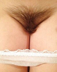 Furry Vulvas I Want to Pulverize