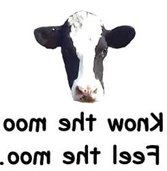 Milking lactation human beast cow farm moo