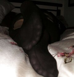 More ebony stockings and dark-hued tights