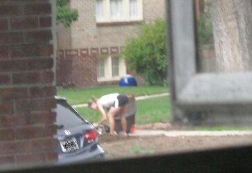 Neighbors displaying off, doing yardwork in skirts (original)