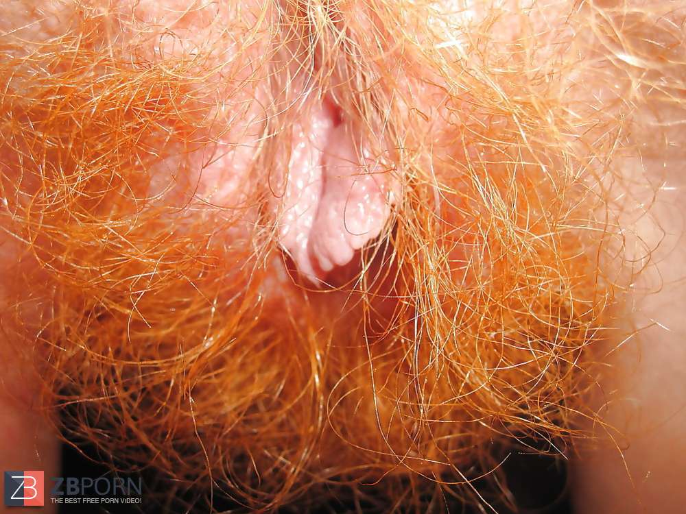 Unshaved Redhead Zb Porn