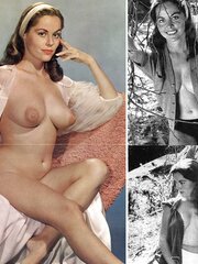Vintage Diane Webber Hardcore Porn - Most Popular Vintage Porn Pics, #28 - ZB Porn